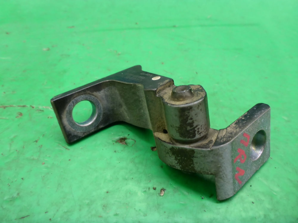 Петля двери передней правой нижняя