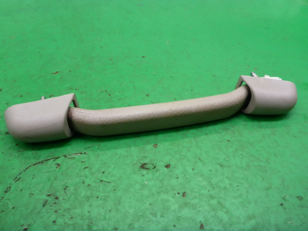 Ручка внутренняя потолочная