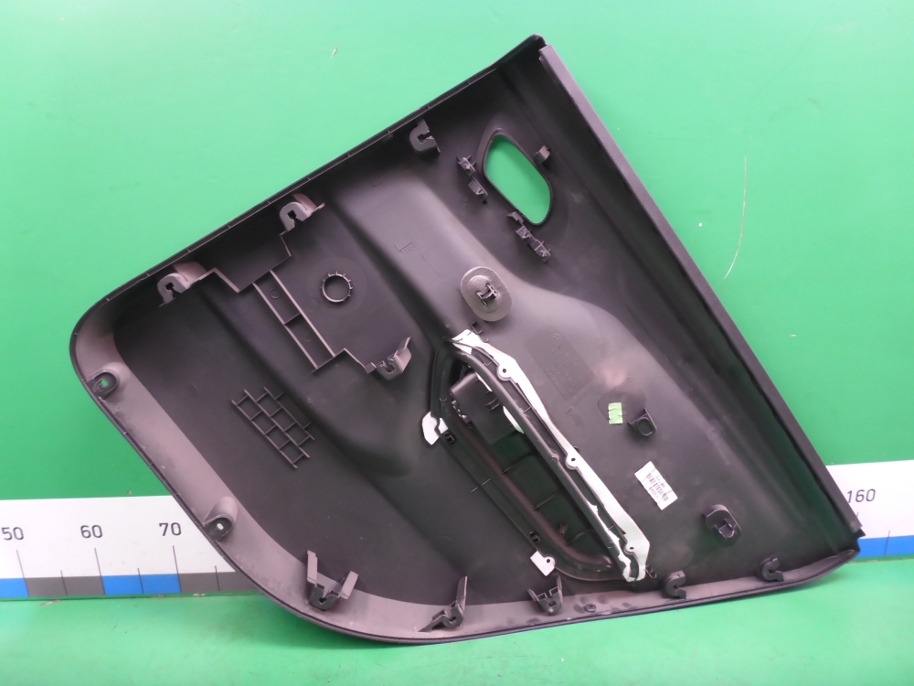 Обшивка двери задней левой