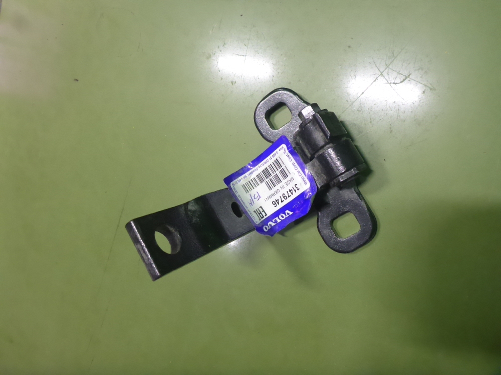 Петля двери передней левой нижняя