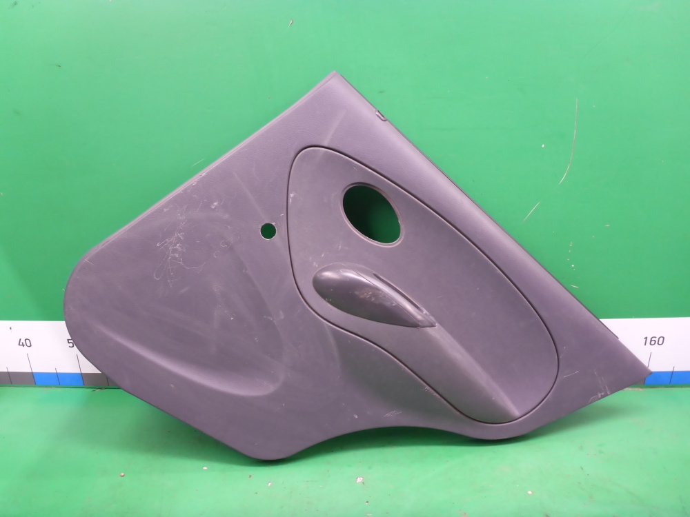 Обшивка двери задней правой