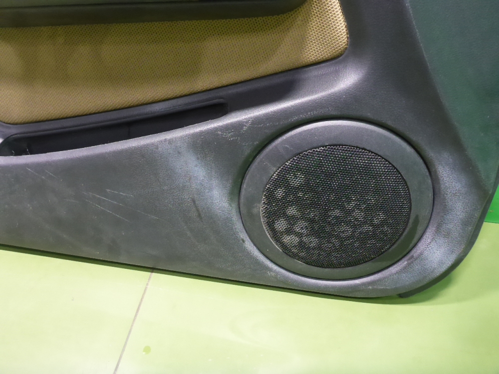 Обшивка двери передней левой