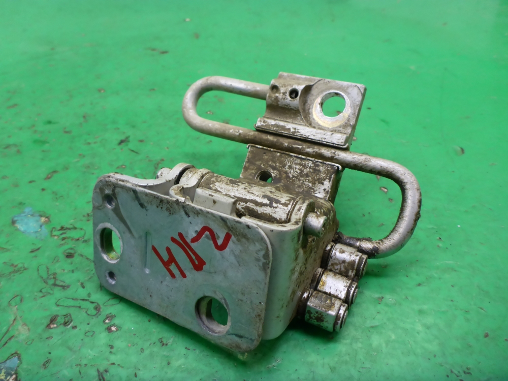 Петля двери задней правой нижняя