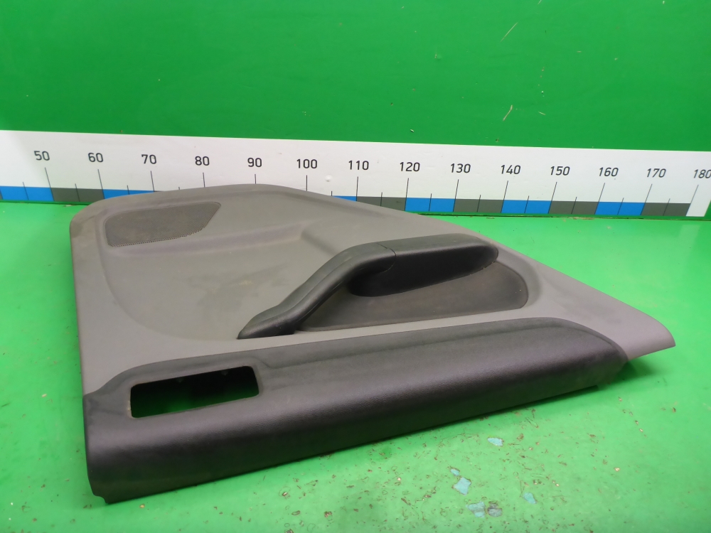 Обшивка двери задней левой