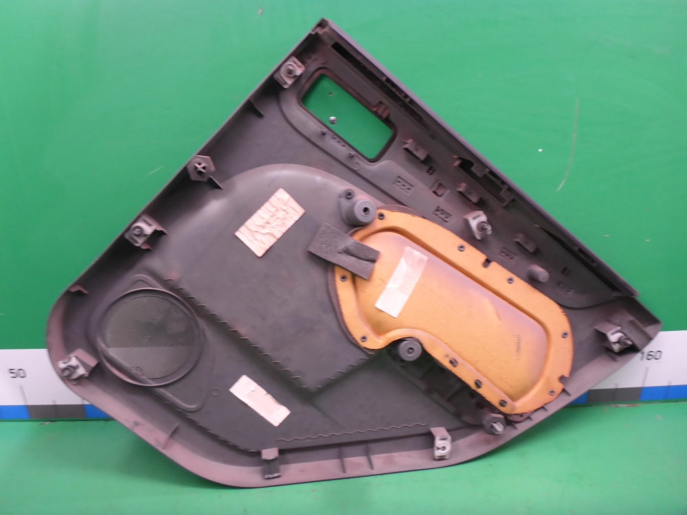 Обшивка двери задней левой