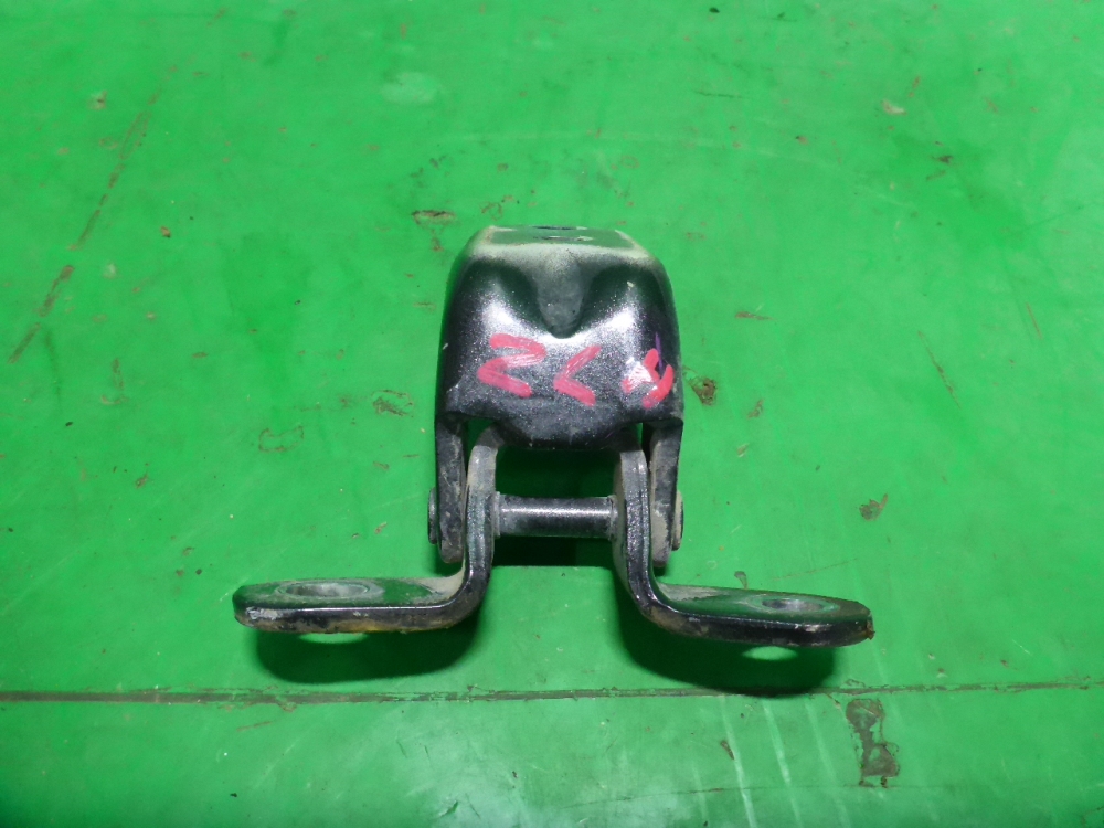 Петля двери задней левой нижняя