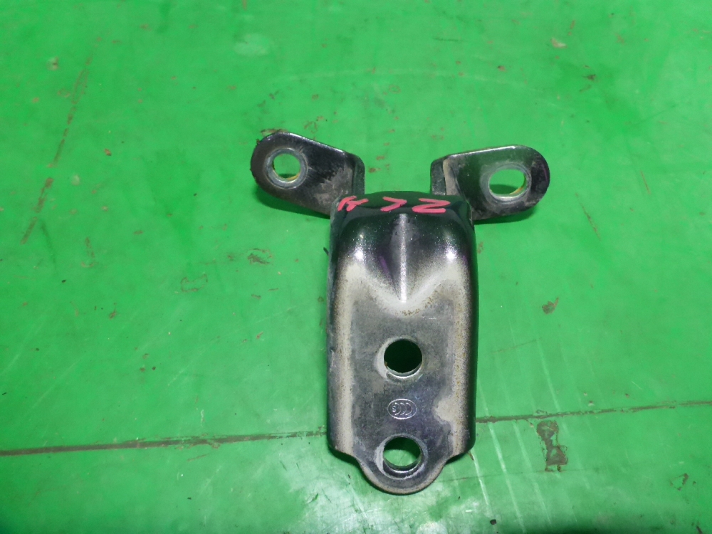 Петля двери задней левой нижняя