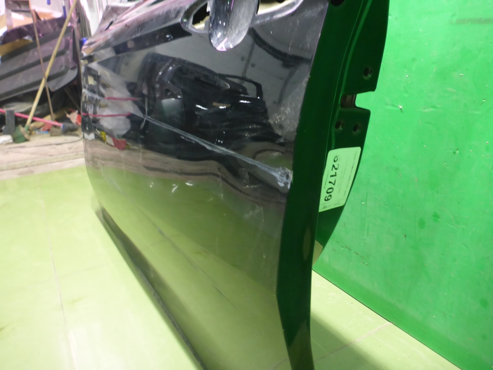 Дверь передняя левая