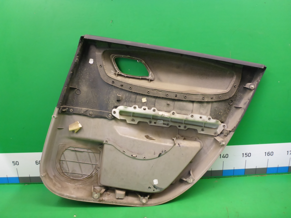 Обшивка двери задней левой