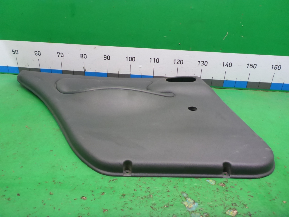 Обшивка двери задней левой