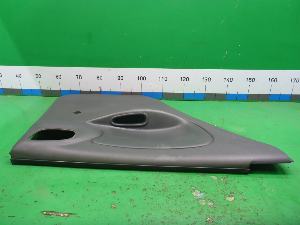 Обшивка двери задней левой