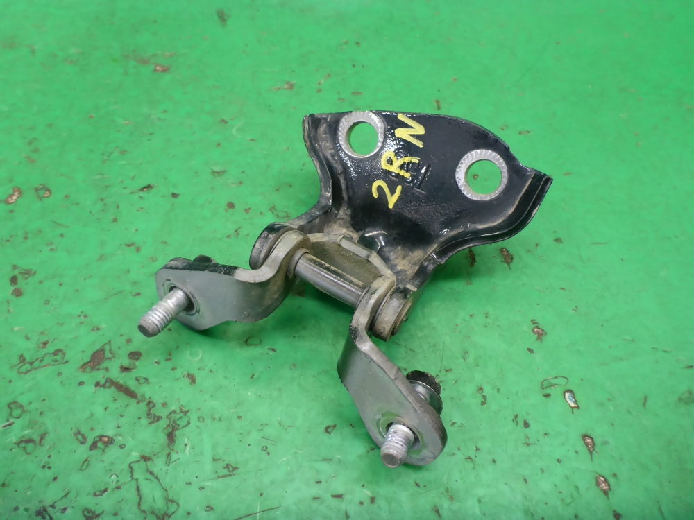 Петля двери задней правой нижняя