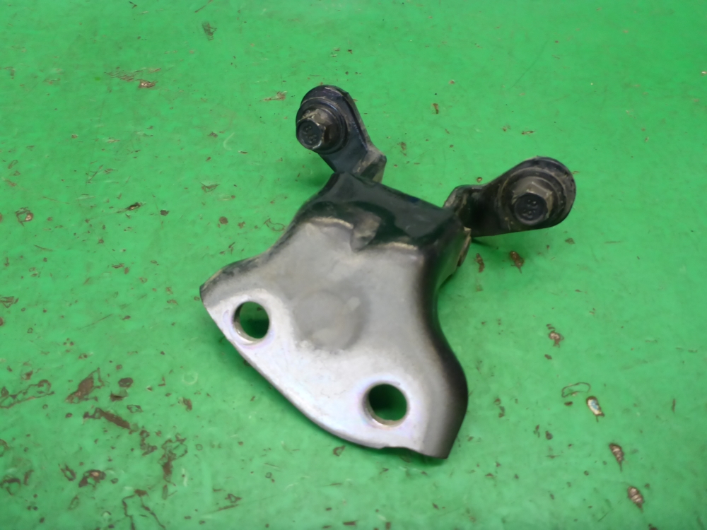 Петля двери задней правой нижняя