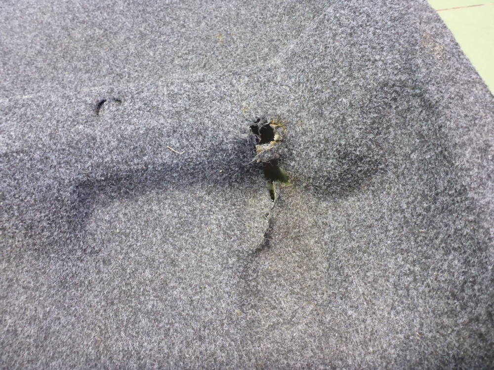 Покрытие напольное (ковролин)