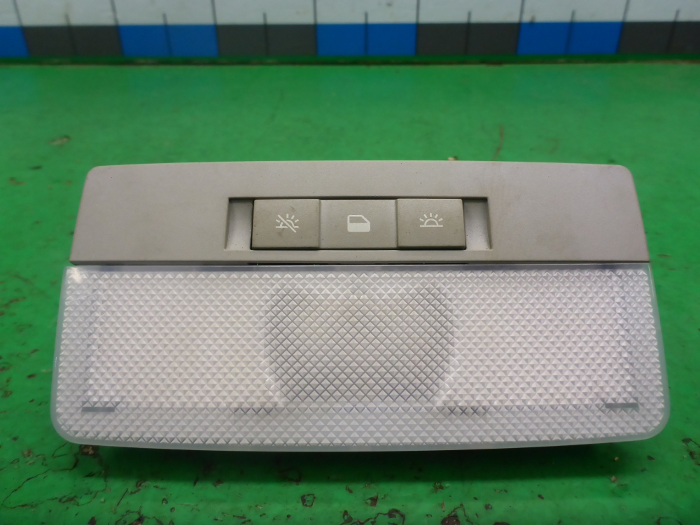 Плафон салонный