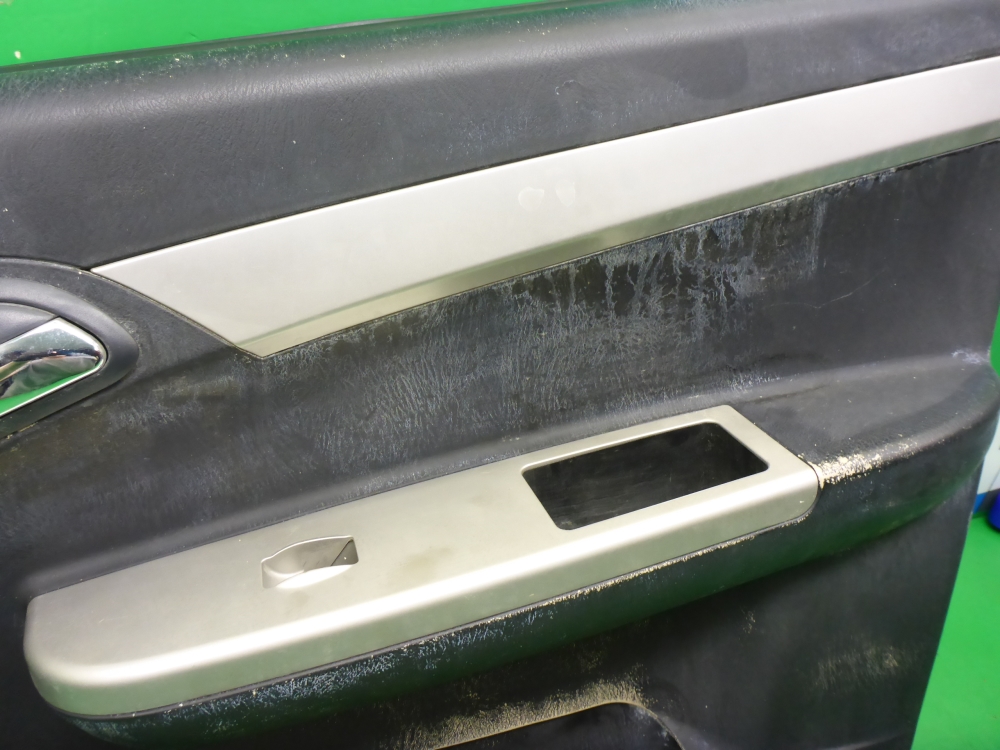 Обшивка двери передней правой