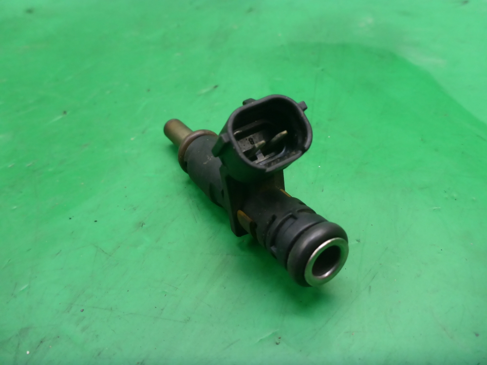 Форсунка инжекторная электрическая