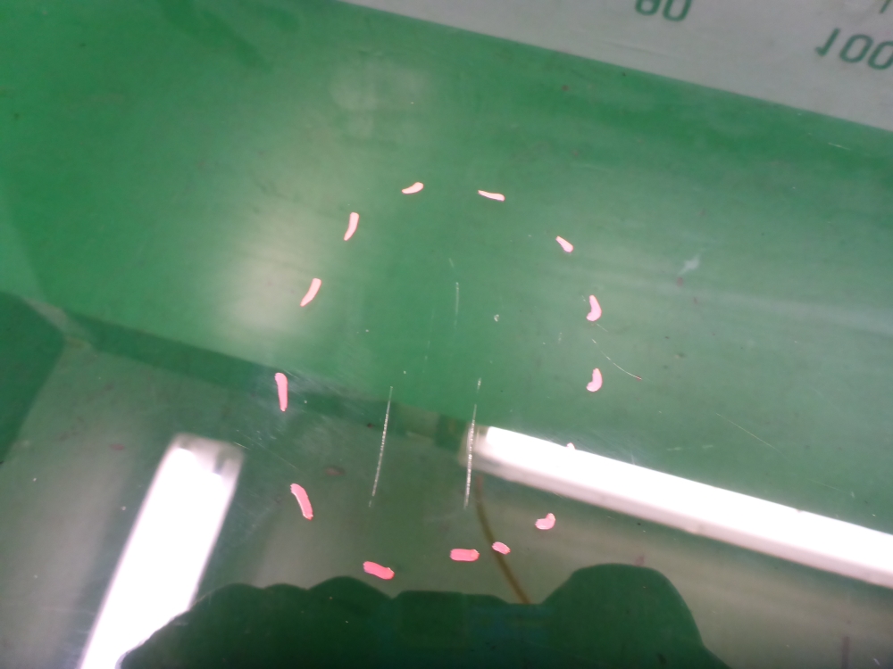 Стекло двери передней правой