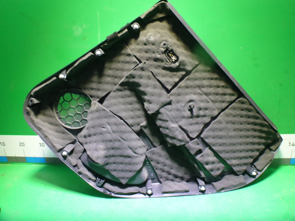 Обшивка двери задней левой