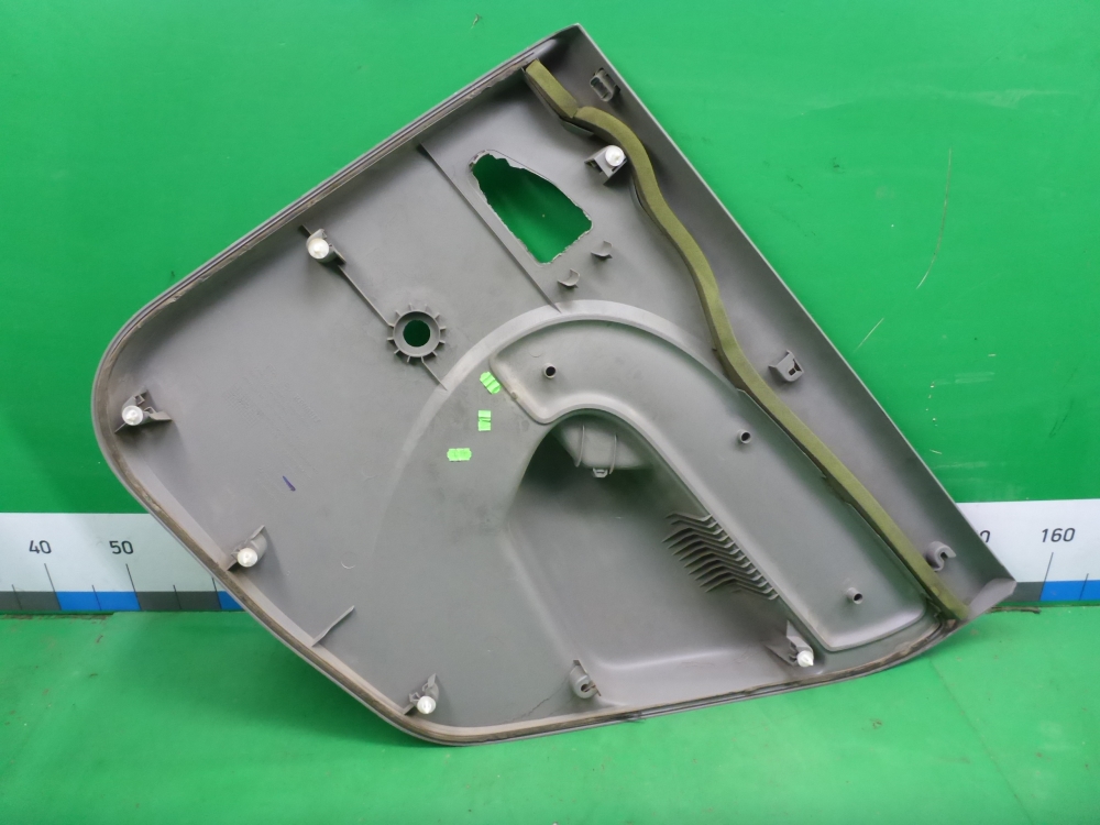 Обшивка двери задней левой