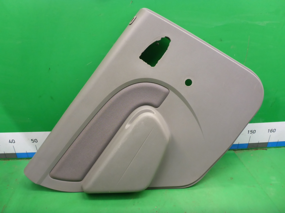 Обшивка двери задней левой