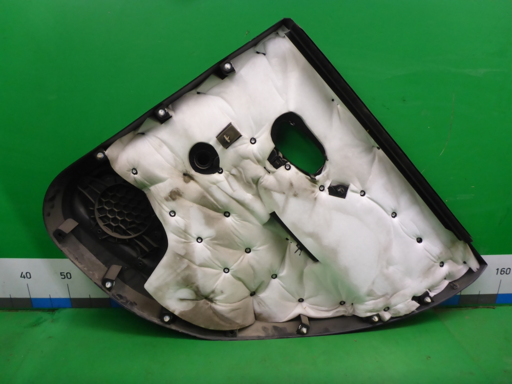 Обшивка двери задней левой