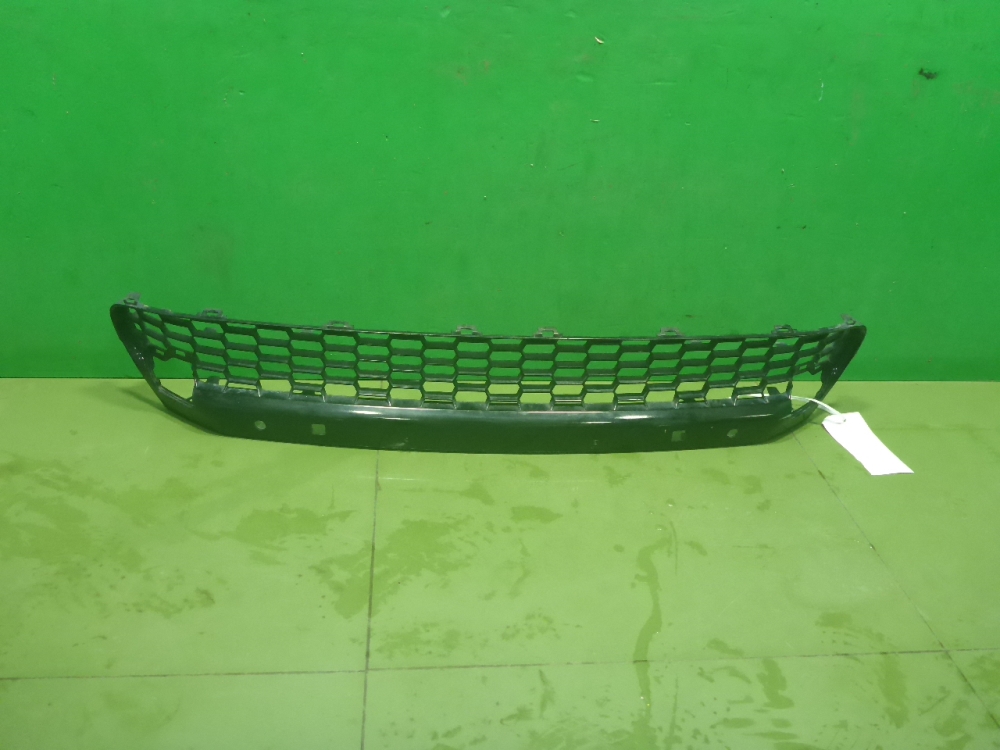 Решетка в бампер центральная