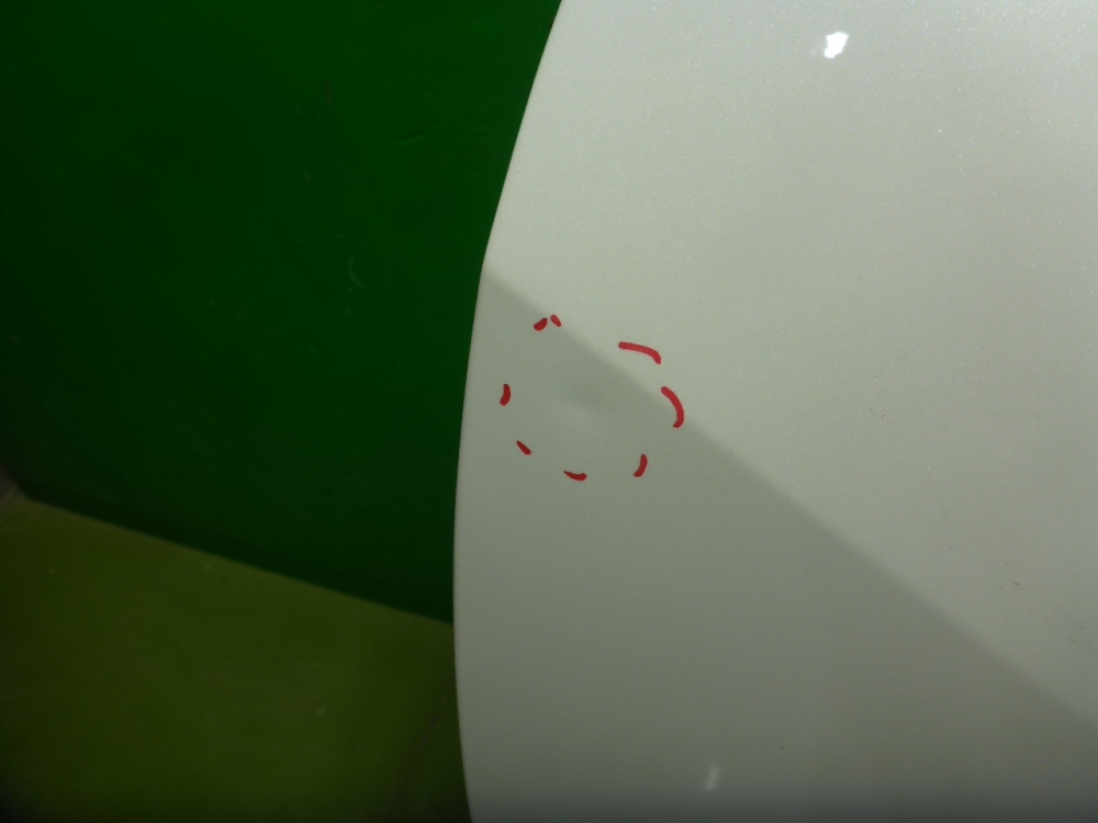 Дверь передняя левая