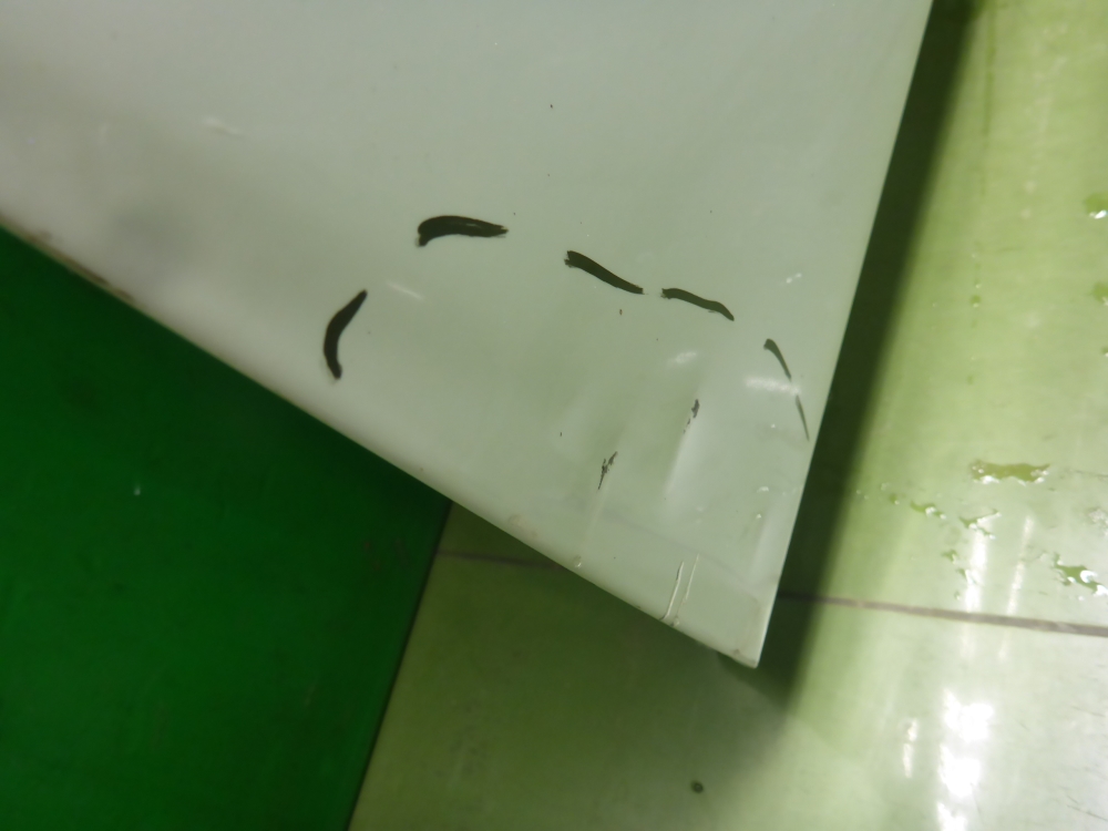 Дверь передняя левая