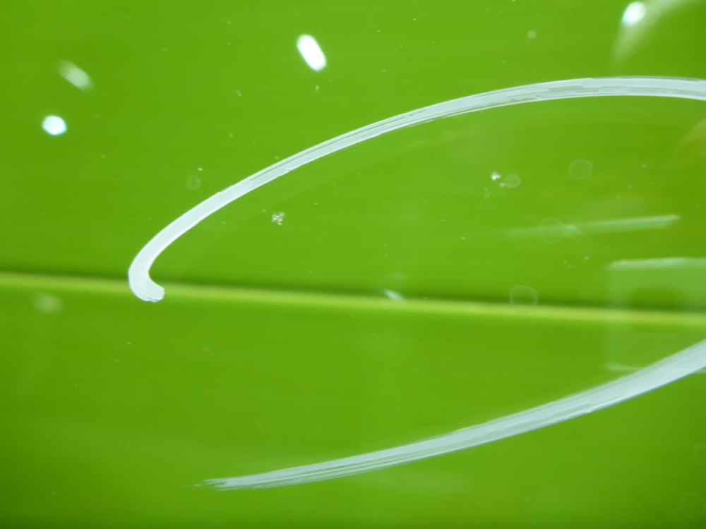 Стекло лобовое