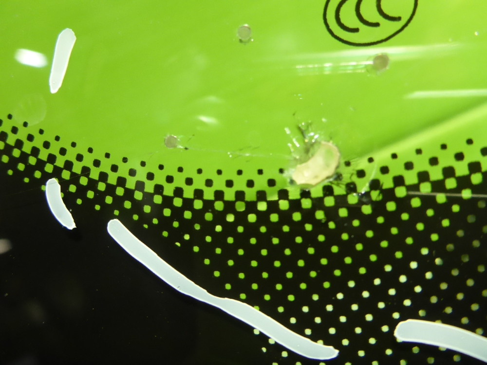 Стекло лобовое