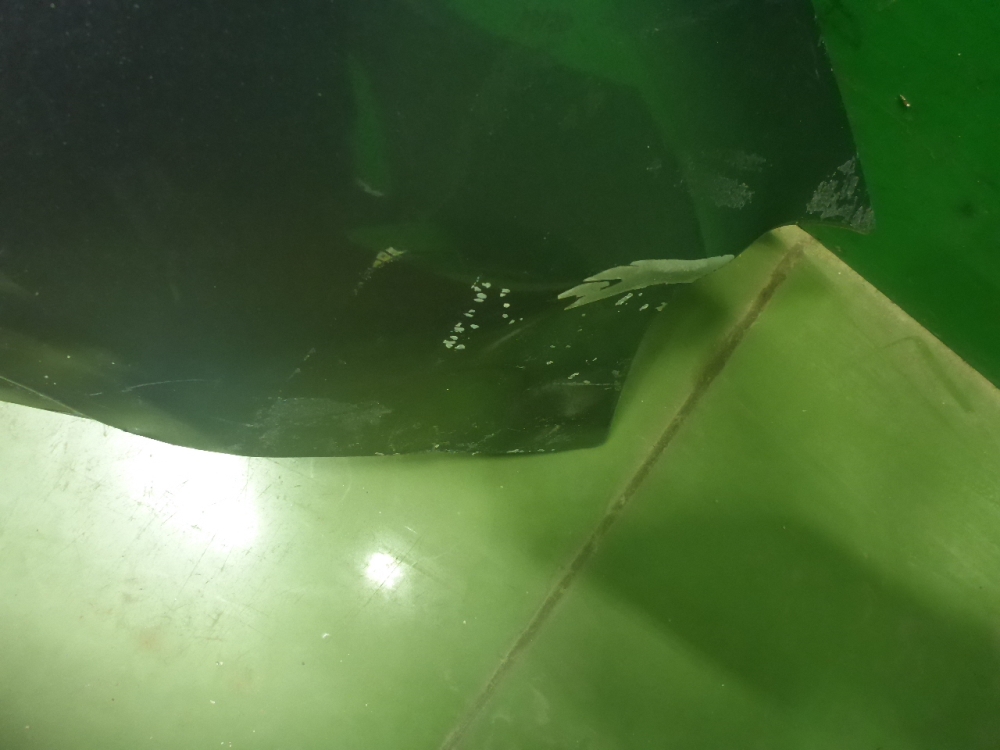 Крыло переднее левое