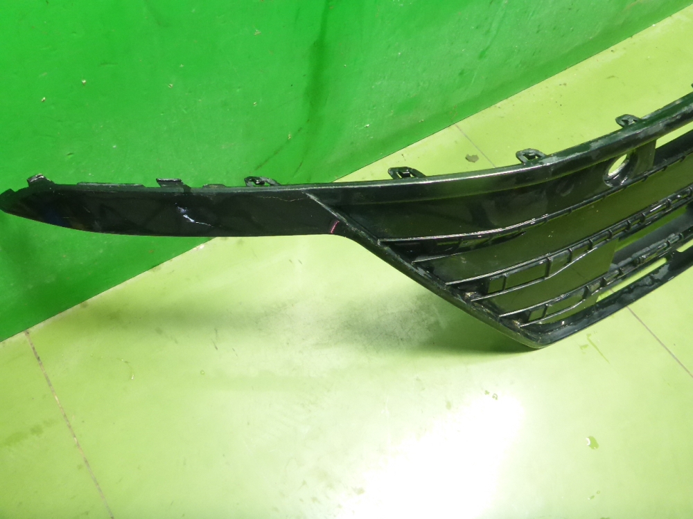 Решетка в бампер центральная