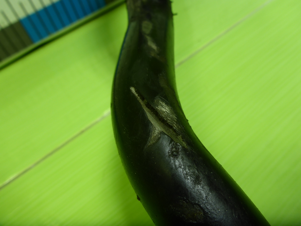 Стабилизатор передний