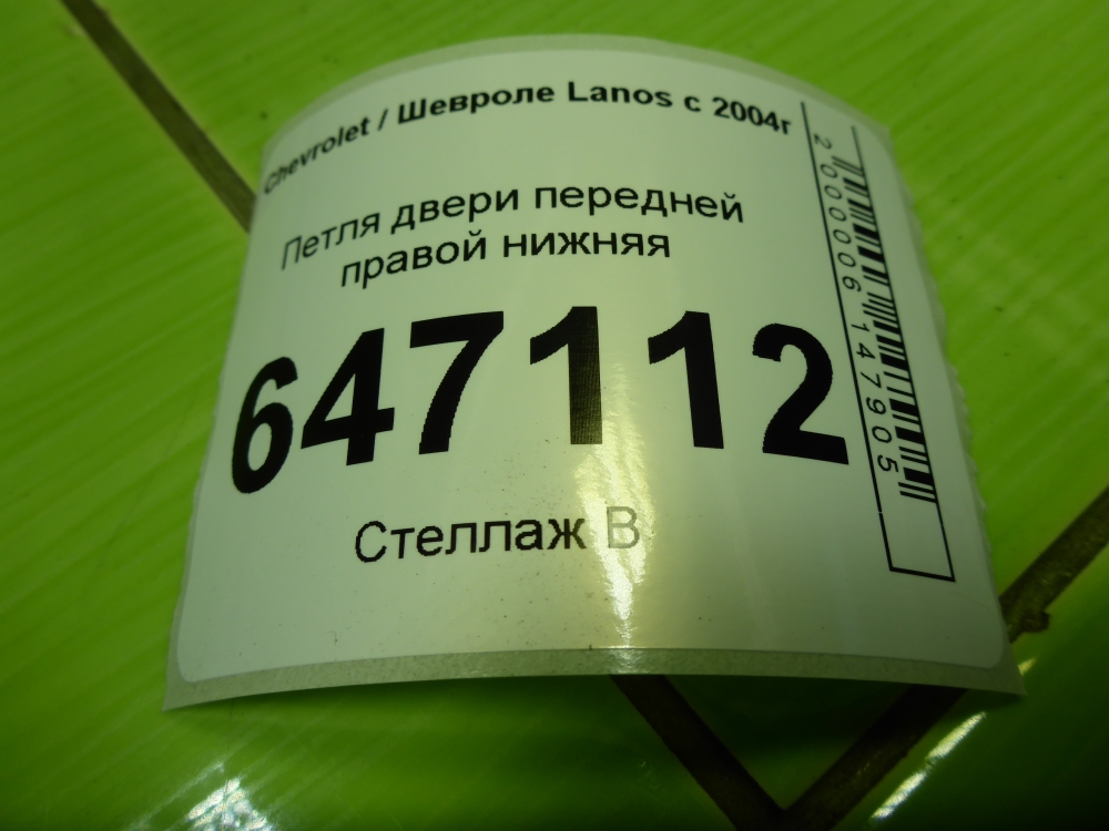 Петля двери передней правой нижняя