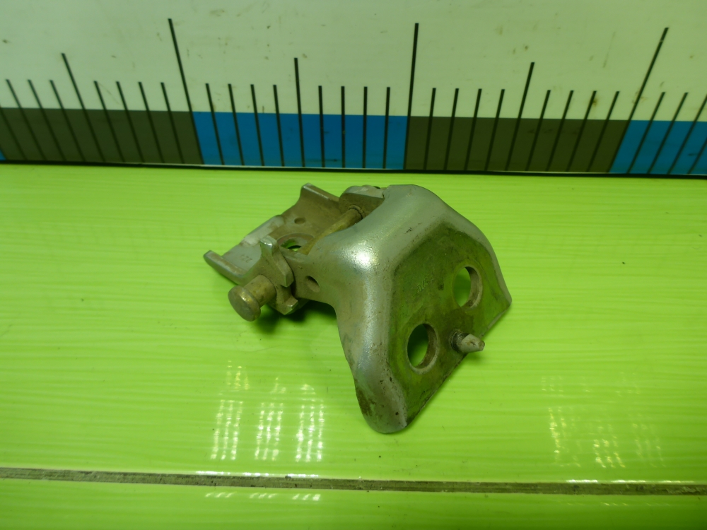 Петля двери задней правой нижняя