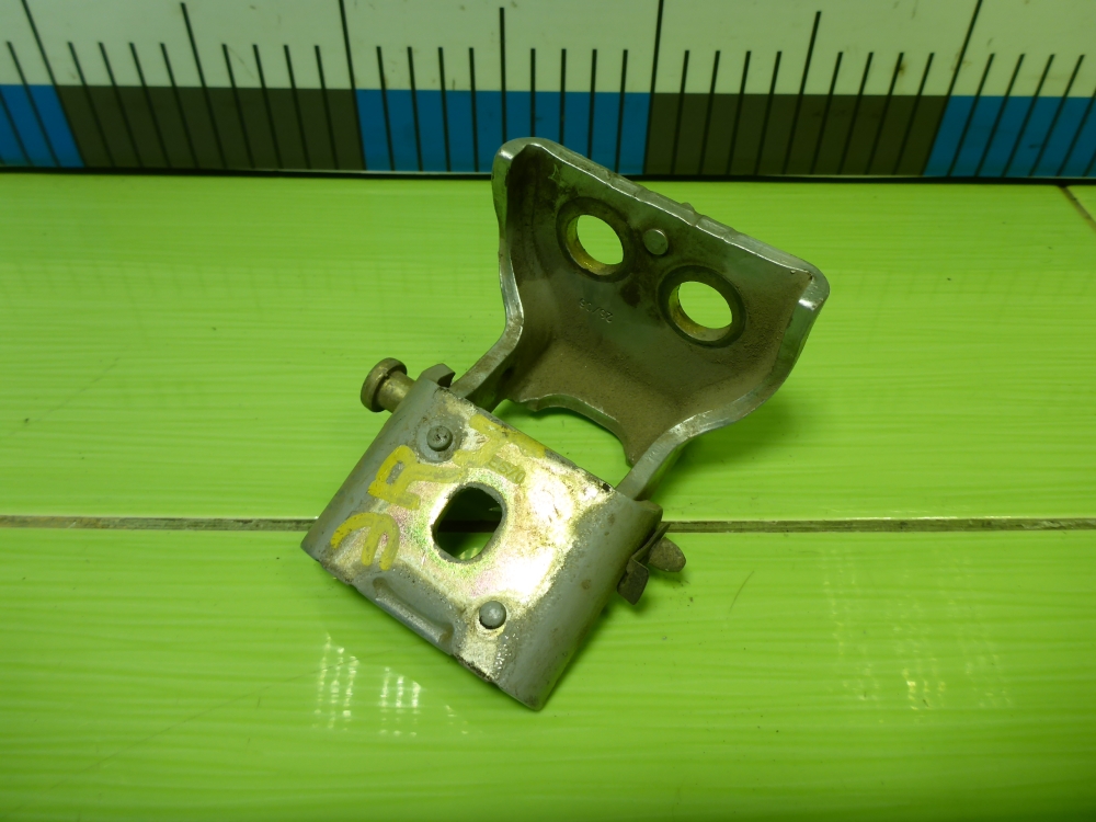 Петля двери задней правой нижняя