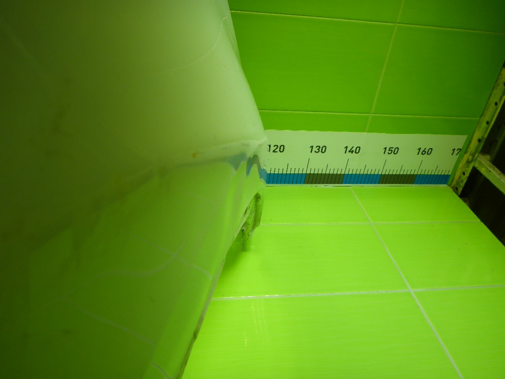 Крыло переднее правое