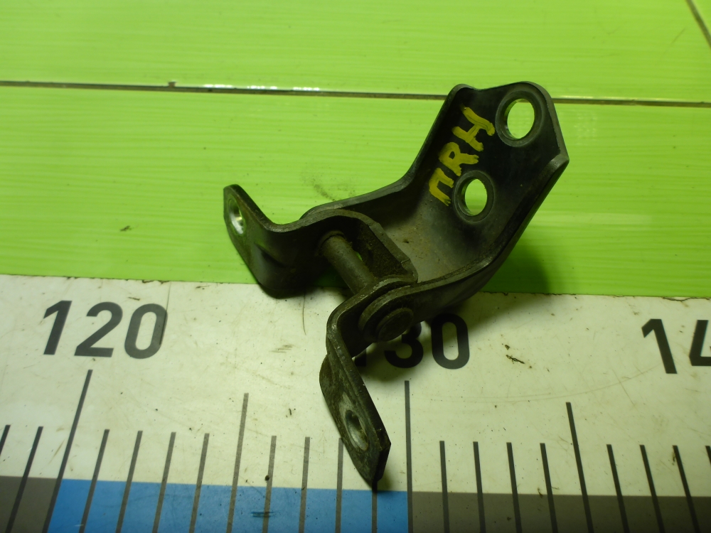 Петля двери передней правой нижняя