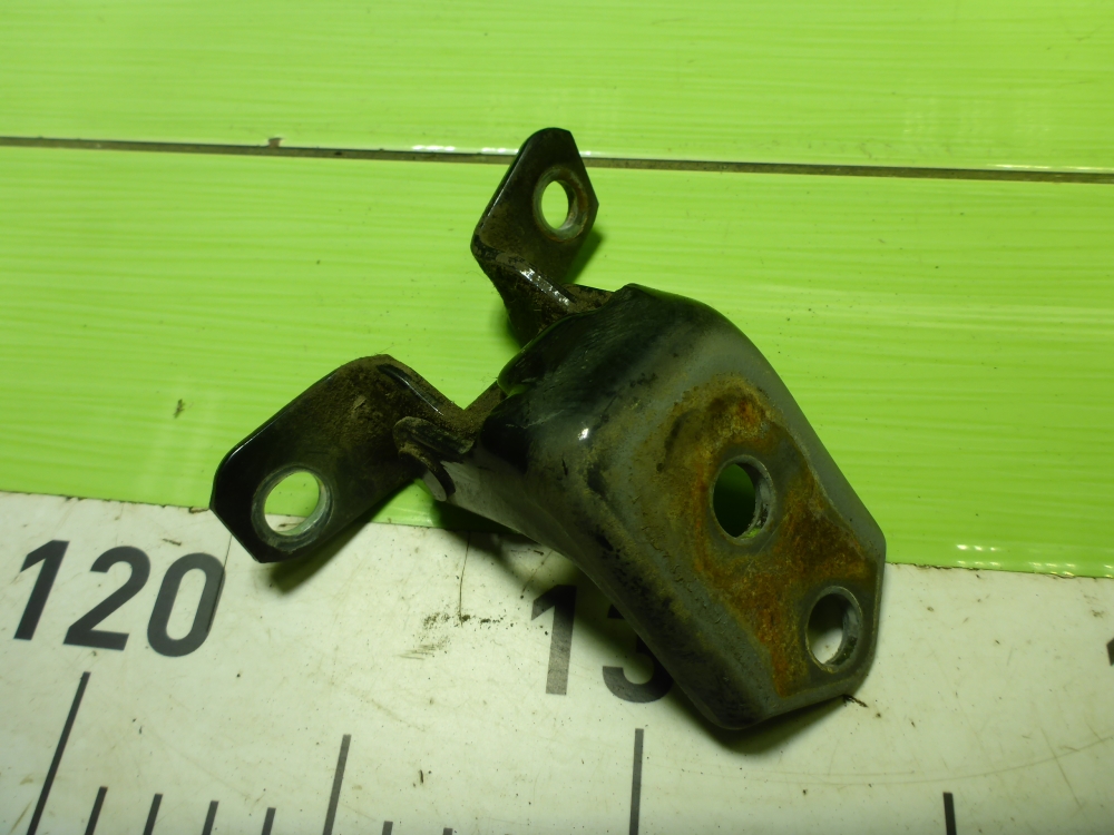 Петля двери передней правой нижняя