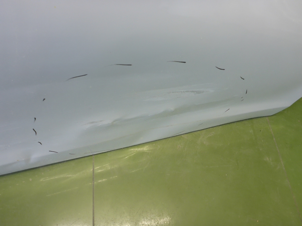 Дверь передняя правая