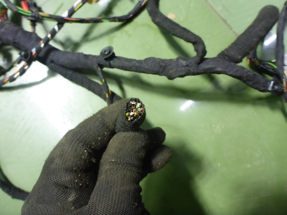 Проводка (коса)