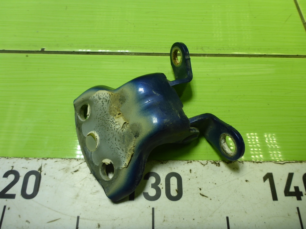 Петля двери задней правой нижняя