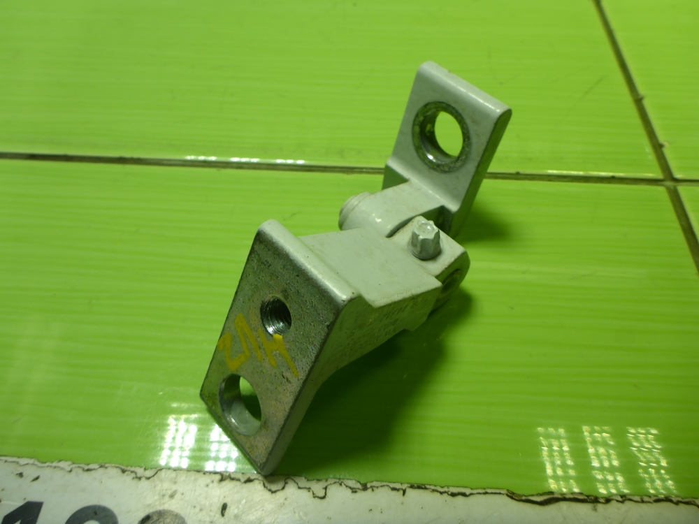 Петля двери задней правой нижняя