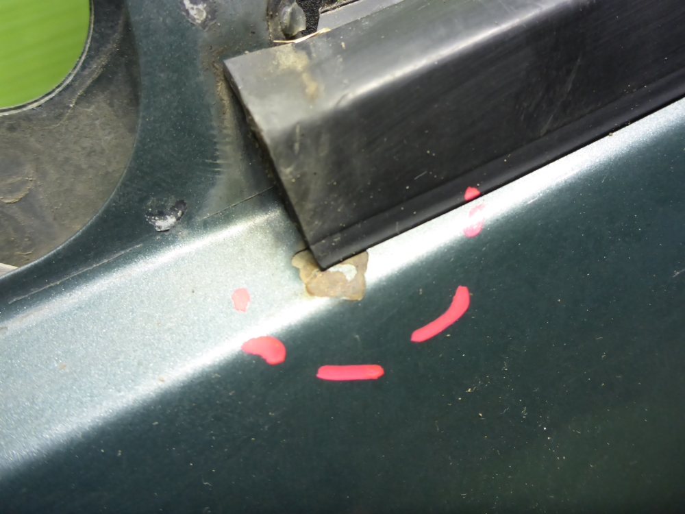 Дверь передняя левая