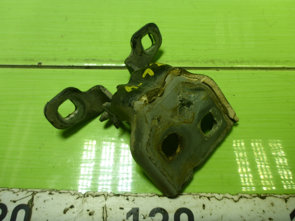 Петля двери передней левой нижняя