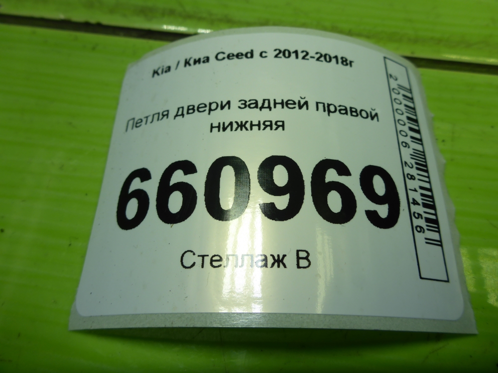 Петля двери задней правой нижняя