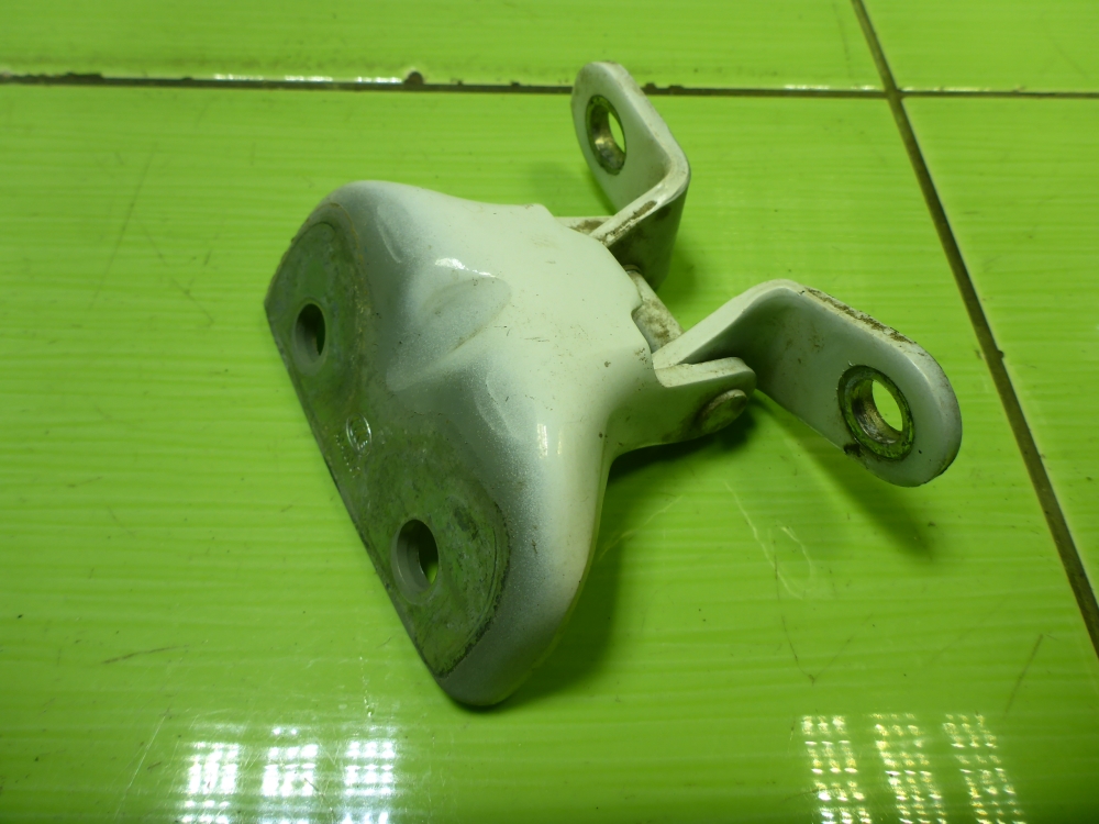 Петля двери передней правой нижняя