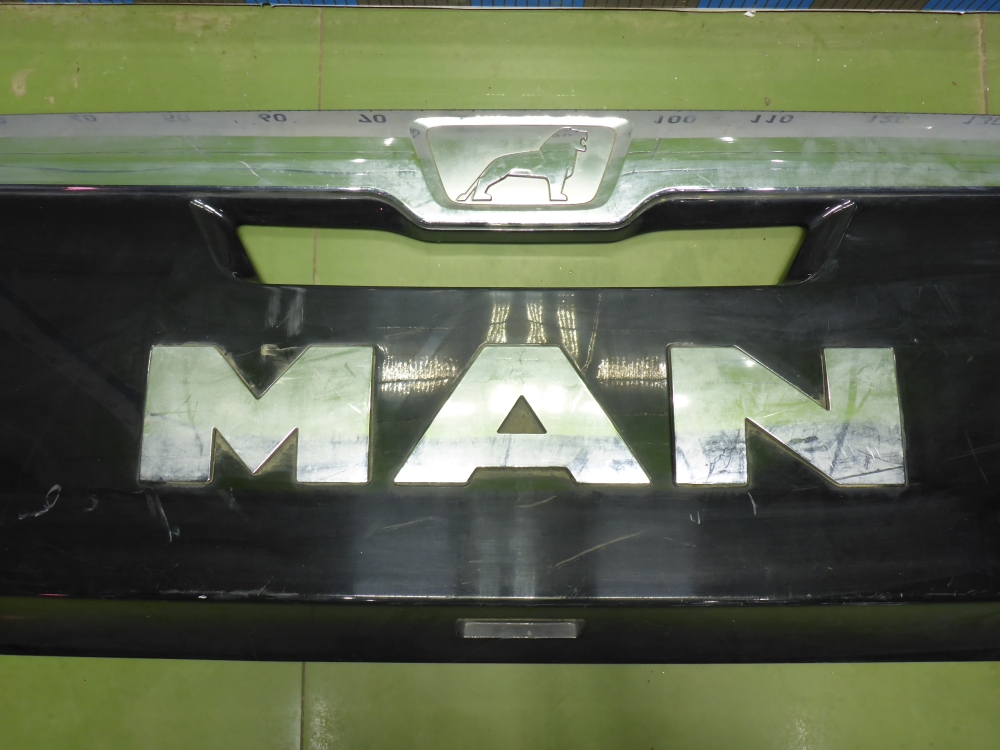 Решетка в капот