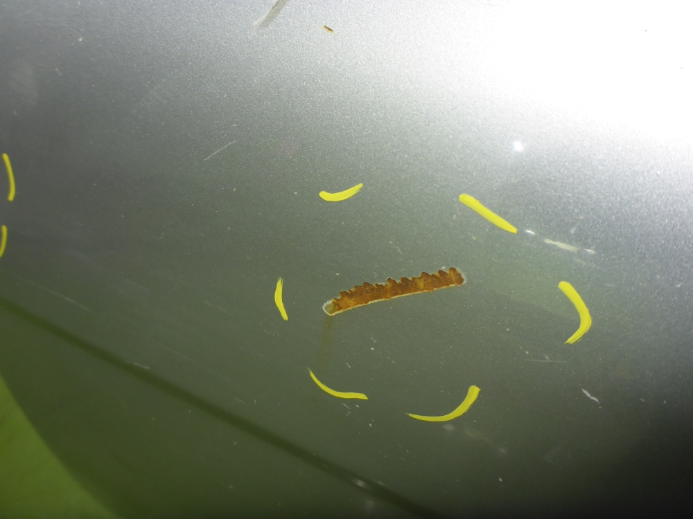 Дверь задняя левая